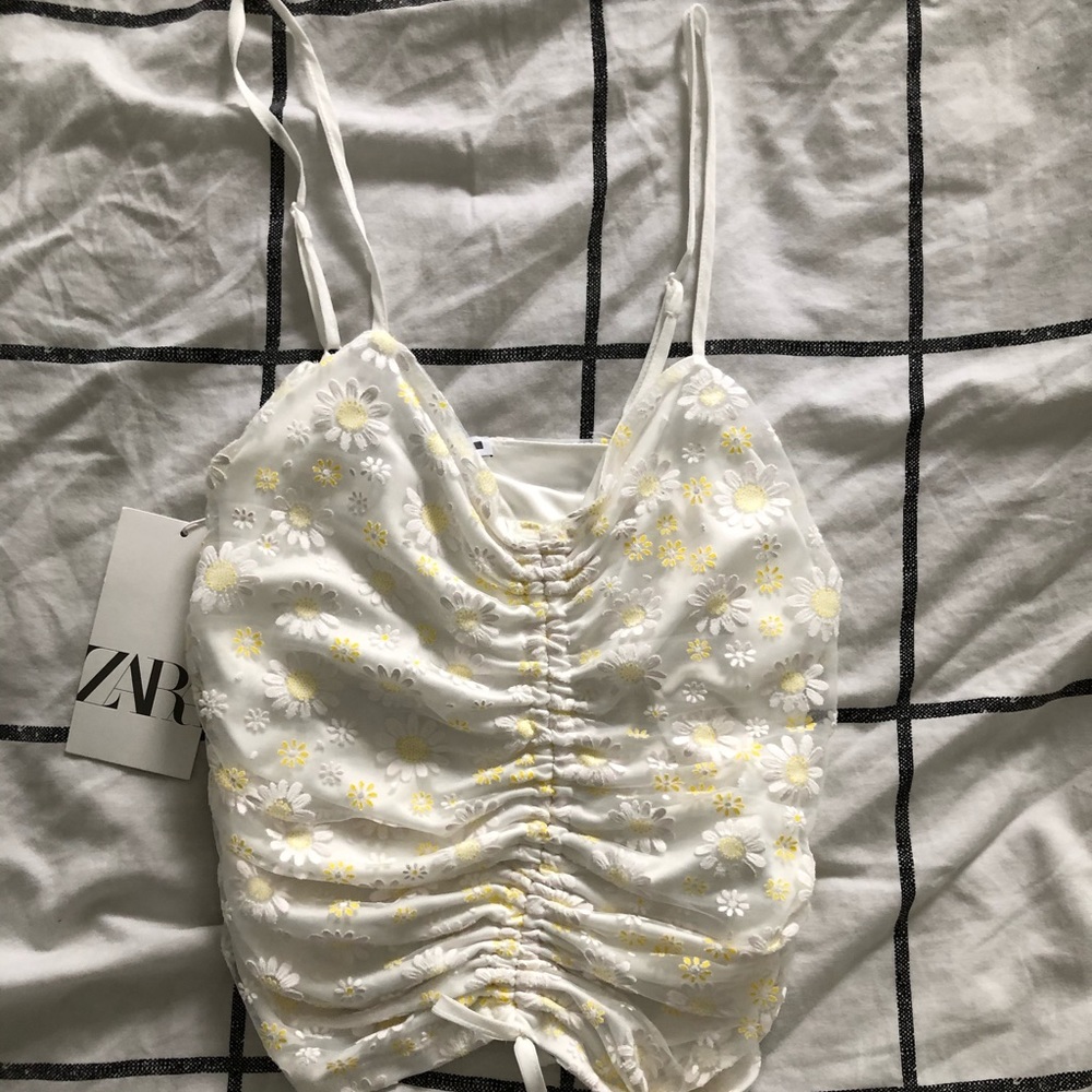 Zara Crop Top!